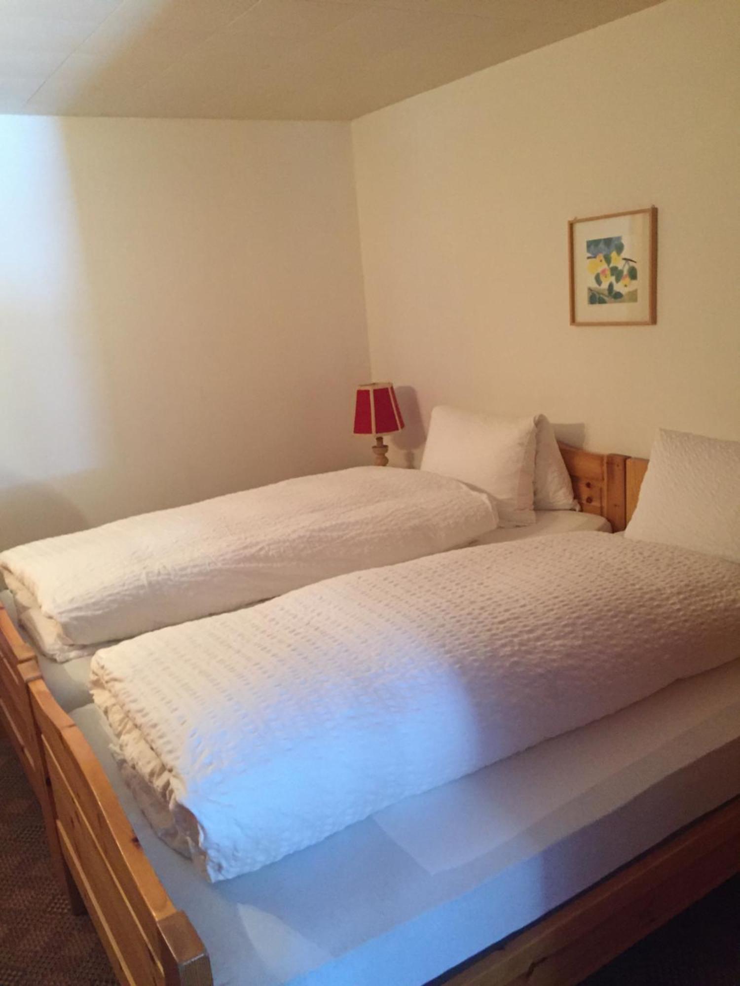 Tamina Hotel Vättis Extérieur photo